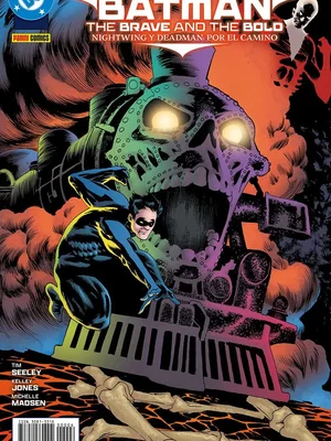 The Brave And The Bold Nightwing Y Deadman Por El Camino