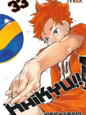 Haikyu vol. 33
