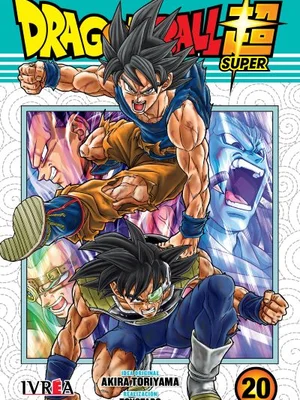 Dragon Ball Super vol. 20