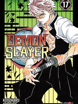 Demon Slayer vol. 17