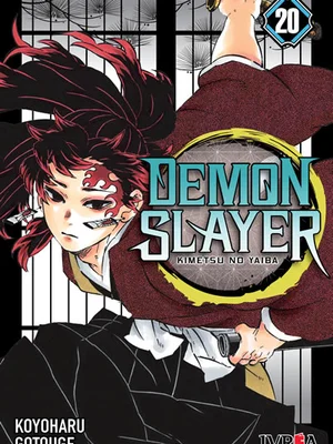 Demon Slayer vol. 20