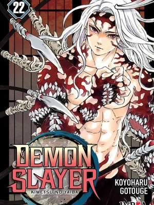 Demon Slayer vol. 22