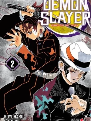 Demon Slayer vol. 02